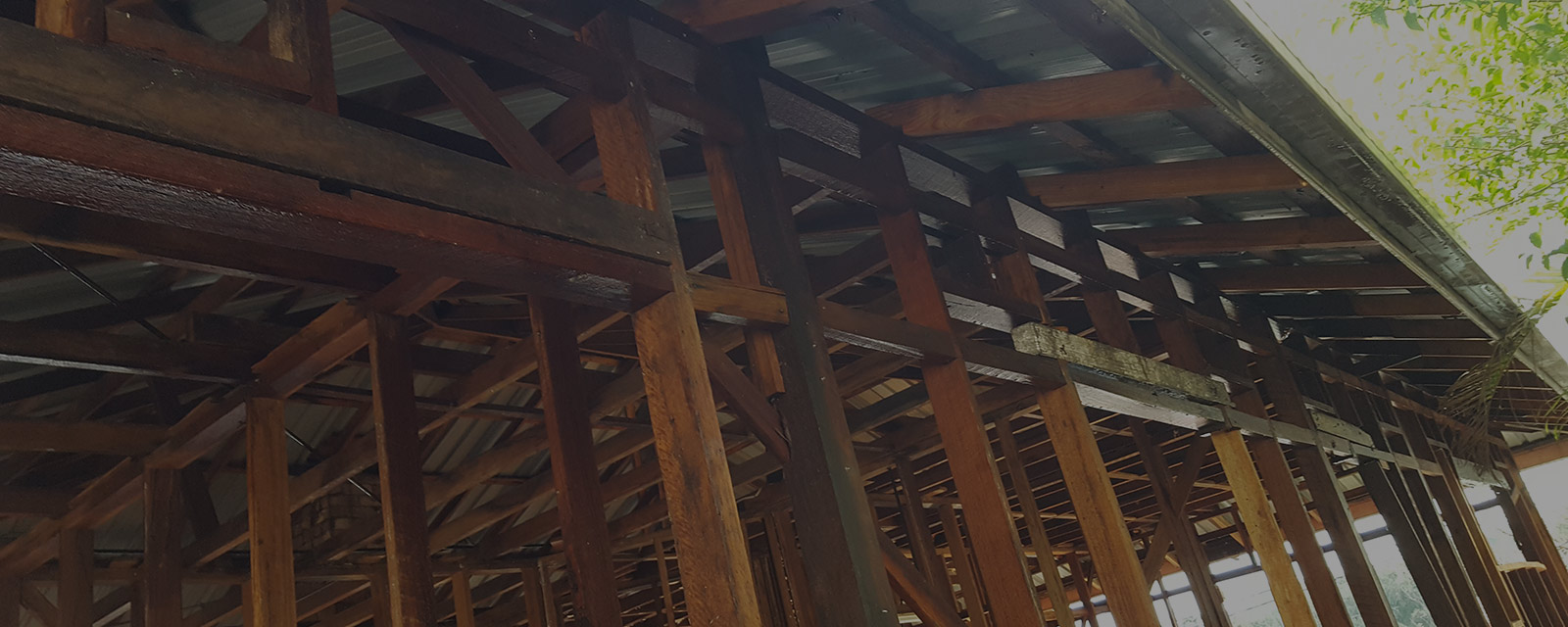 Introduction copy Slide background